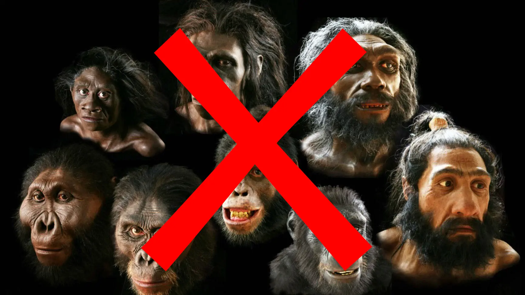 No Evolution